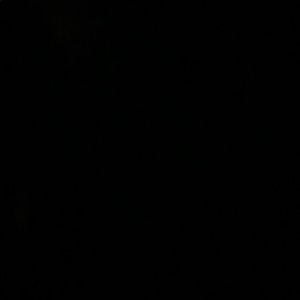 Meet your Posher, Deedee